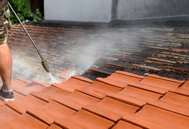 Best Residential Pressure Washing Services  in Hernando, FL