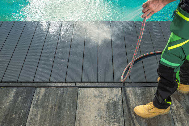 Best Roof Power Washing Services  in Hernando, FL