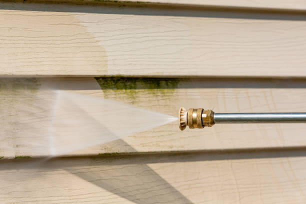 Best Exterior Home Cleaning  in Hernando, FL